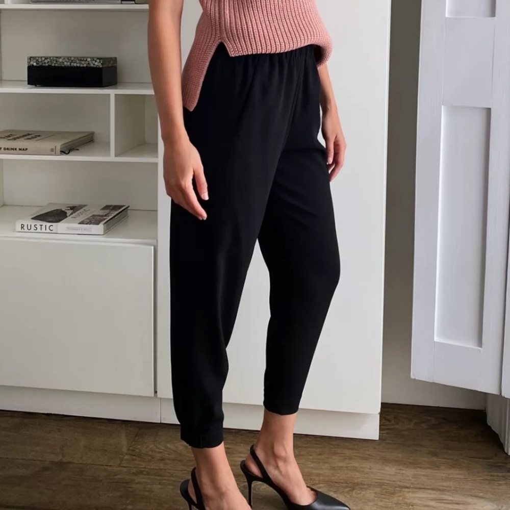 Aritzia Babaton Dexter Pant